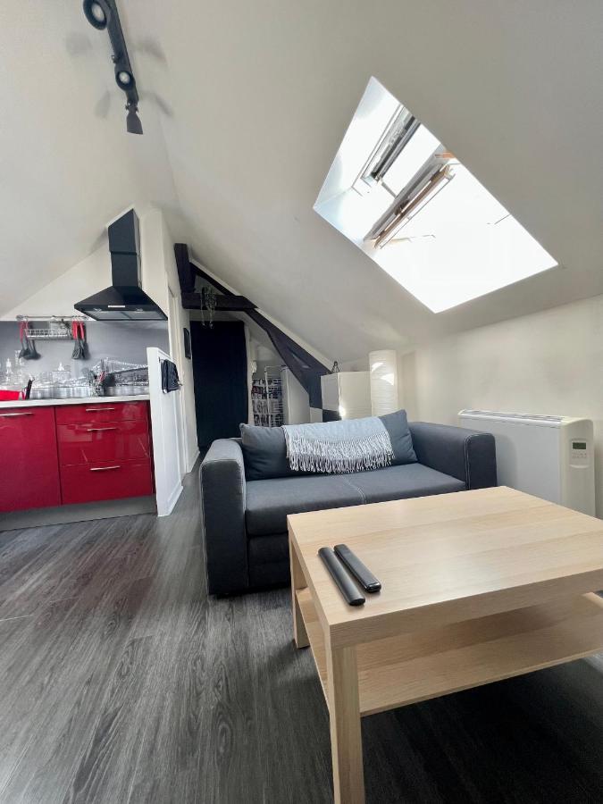 Bel Appartement Lumineux 35M2, Bord De Loire Saint-Jean-le-Blanc Luaran gambar