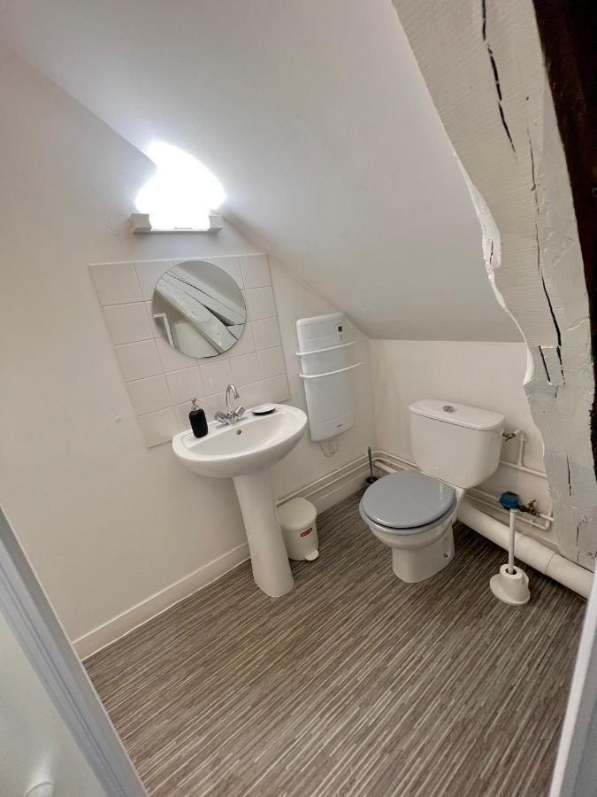Bel Appartement Lumineux 35M2, Bord De Loire Saint-Jean-le-Blanc Luaran gambar