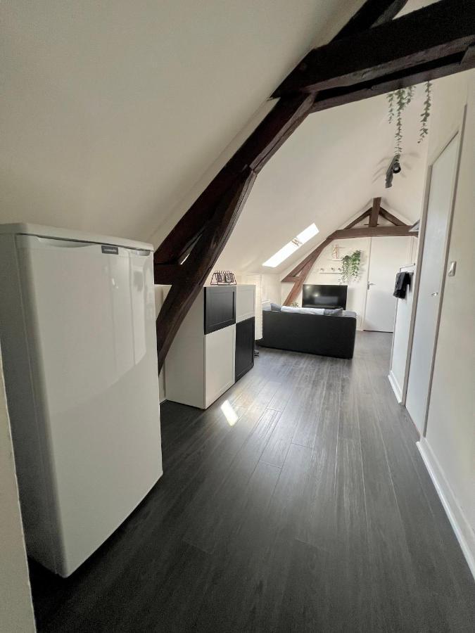 Bel Appartement Lumineux 35M2, Bord De Loire Saint-Jean-le-Blanc Luaran gambar