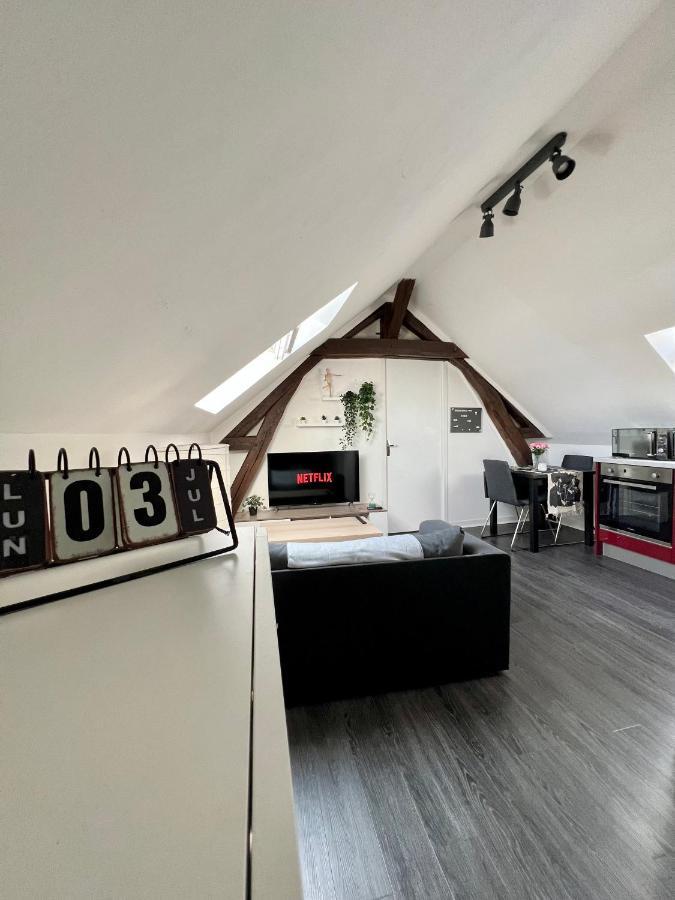 Bel Appartement Lumineux 35M2, Bord De Loire Saint-Jean-le-Blanc Luaran gambar